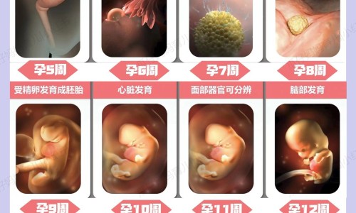 泡着吃-泡了会大的食物有哪些好处网 :分享泡了会大的食物有哪些好处和坏处-泡水变大的东西知识